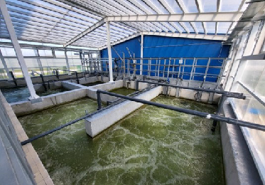 Очистные сооружения с. Шапши, вид 1